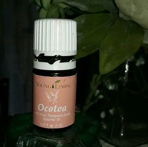 OS Ocotea essential oil